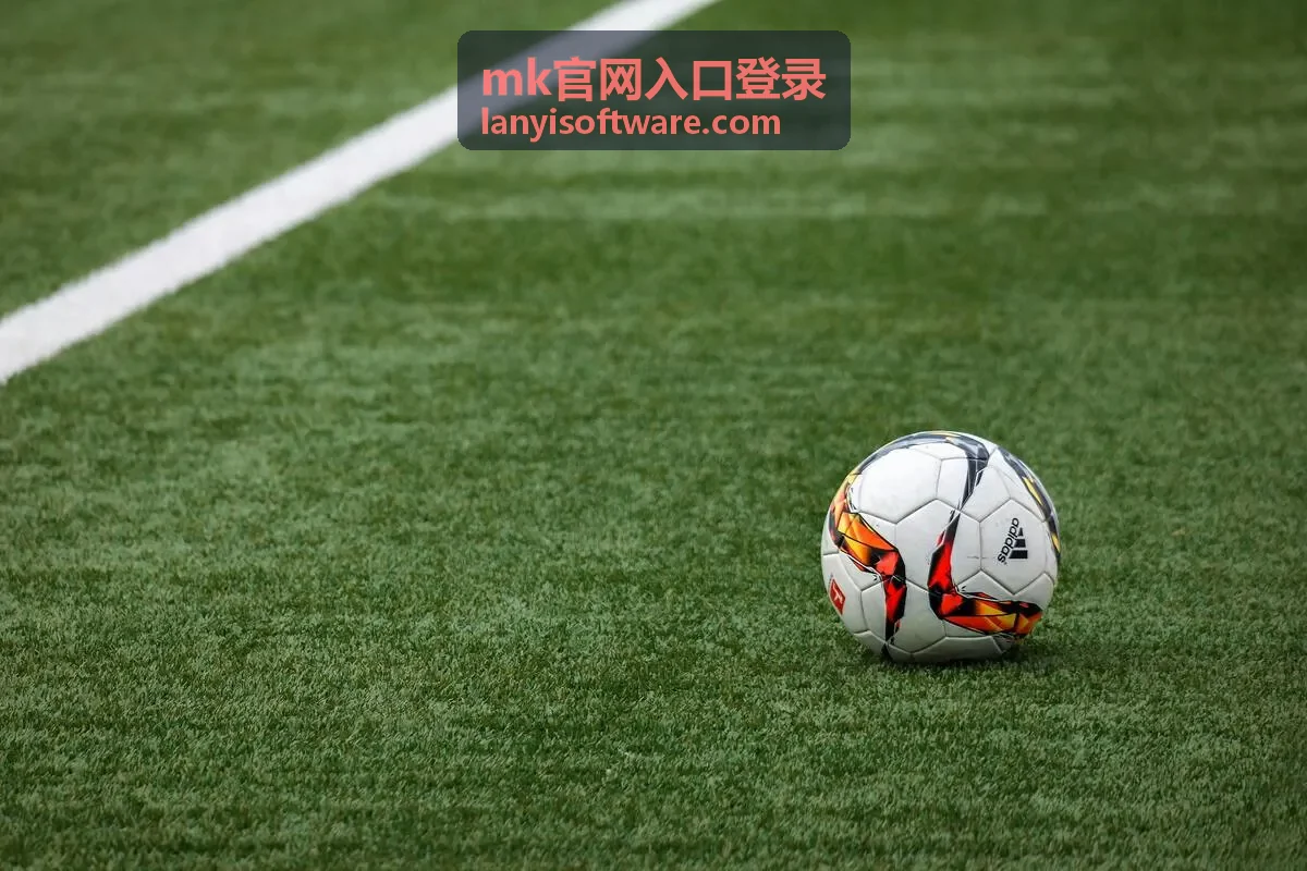 mk官网入口登录 账号与安全设置配图