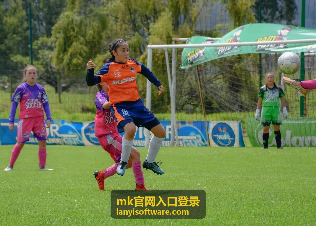 mk官网入口登录的验证码与二次验证环节示意
