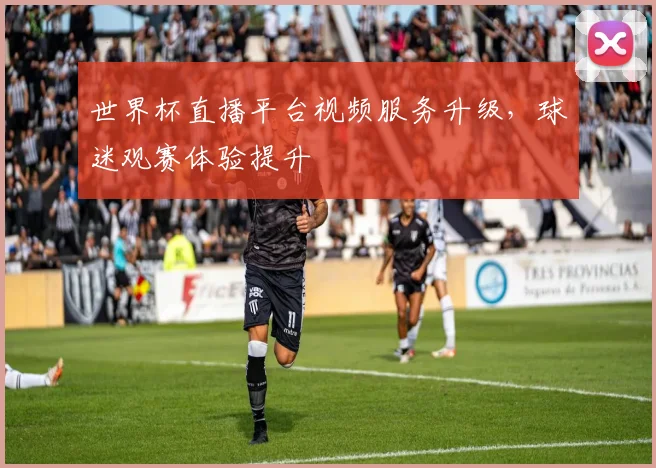 世界杯直播平台视频服务升级,球迷观赛体验提升