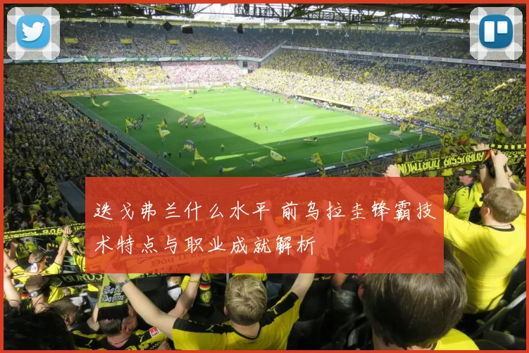 迭戈弗兰什么水平 前乌拉圭锋霸技术特点与职业成就解析
