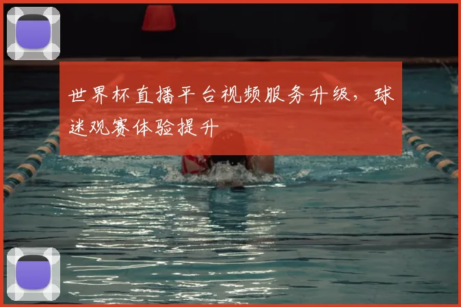 世界杯直播平台视频服务升级,球迷观赛体验提升