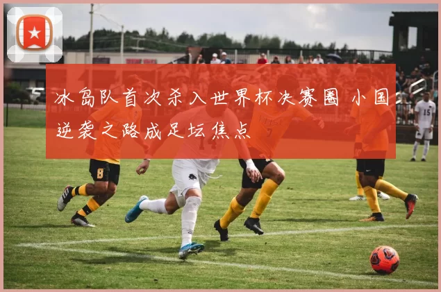 冰岛队首次杀入世界杯决赛圈 小国逆袭之路成足坛焦点