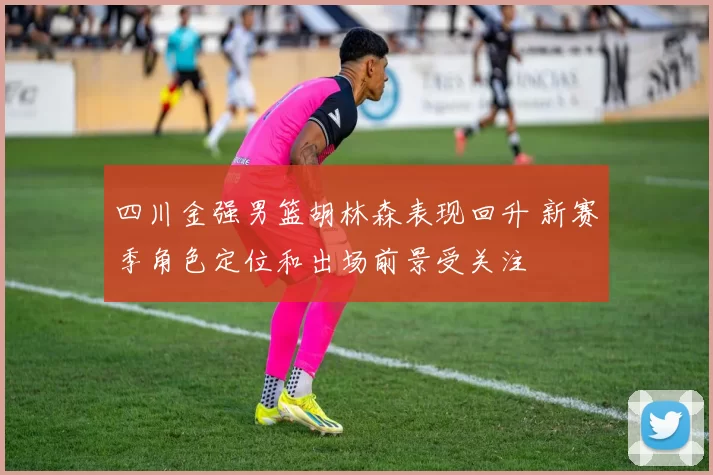 四川金强男篮胡林森表现回升 新赛季角色定位和出场前景受关注